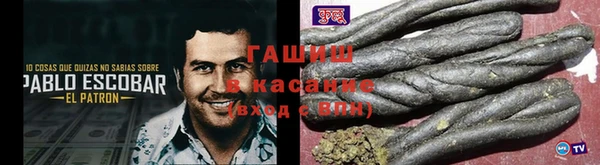 прущие грибы Бугульма