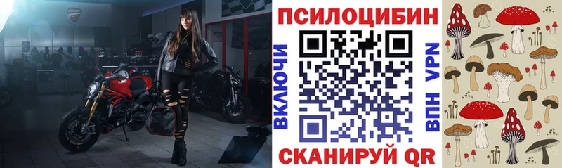 Галлюциногенные грибы Psilocybine cubensis  площадка наркотические препараты  Гаврилов Посад 